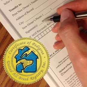 Picture for category Transfer Pet Ownership